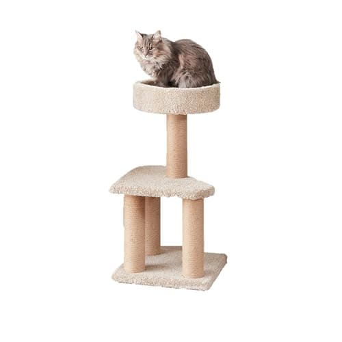 Amazon Basics Cat Activity Tree Medium 32'