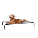 Amazon Basics Faux Fur Donut Bed (Medium)
