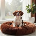 Furhaven Orthopedic Deluxe Mattress (Medium)