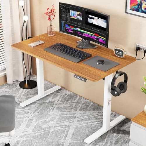 Lukzer Electric Standing Desk EST-003